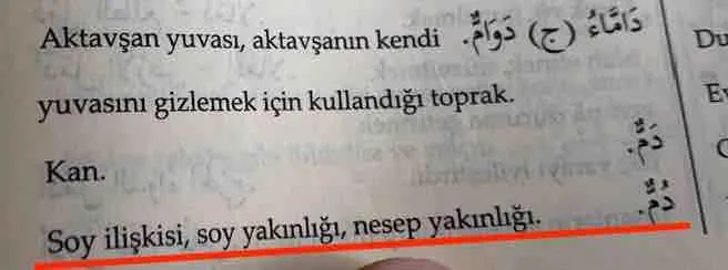 064_Kuran_Calismalarinda_El_Yazmalarinin_Temel_Alinmasinin_Gerekliligi