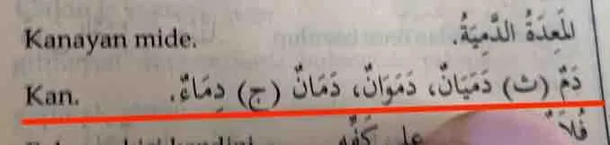 064_Kuran_Calismalarinda_El_Yazmalarinin_Temel_Alinmasinin_Gerekliligi
