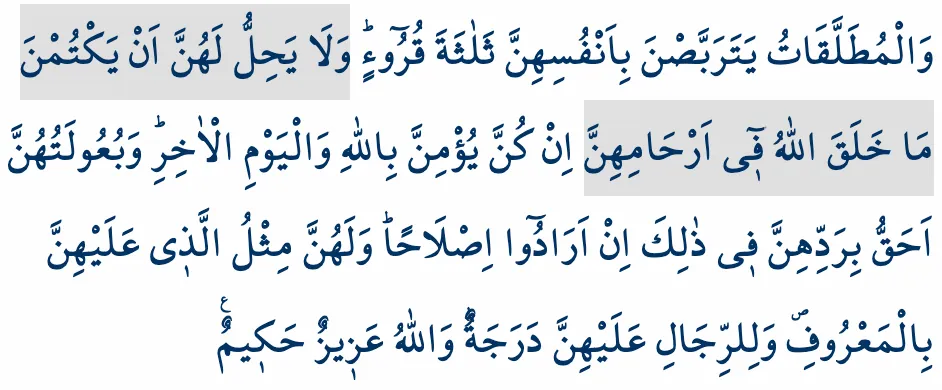 086_Nisa_34_5_Gaybi_Korumak