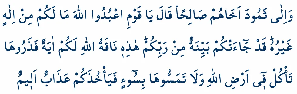 107_Risalet_Kurumu_Murselin