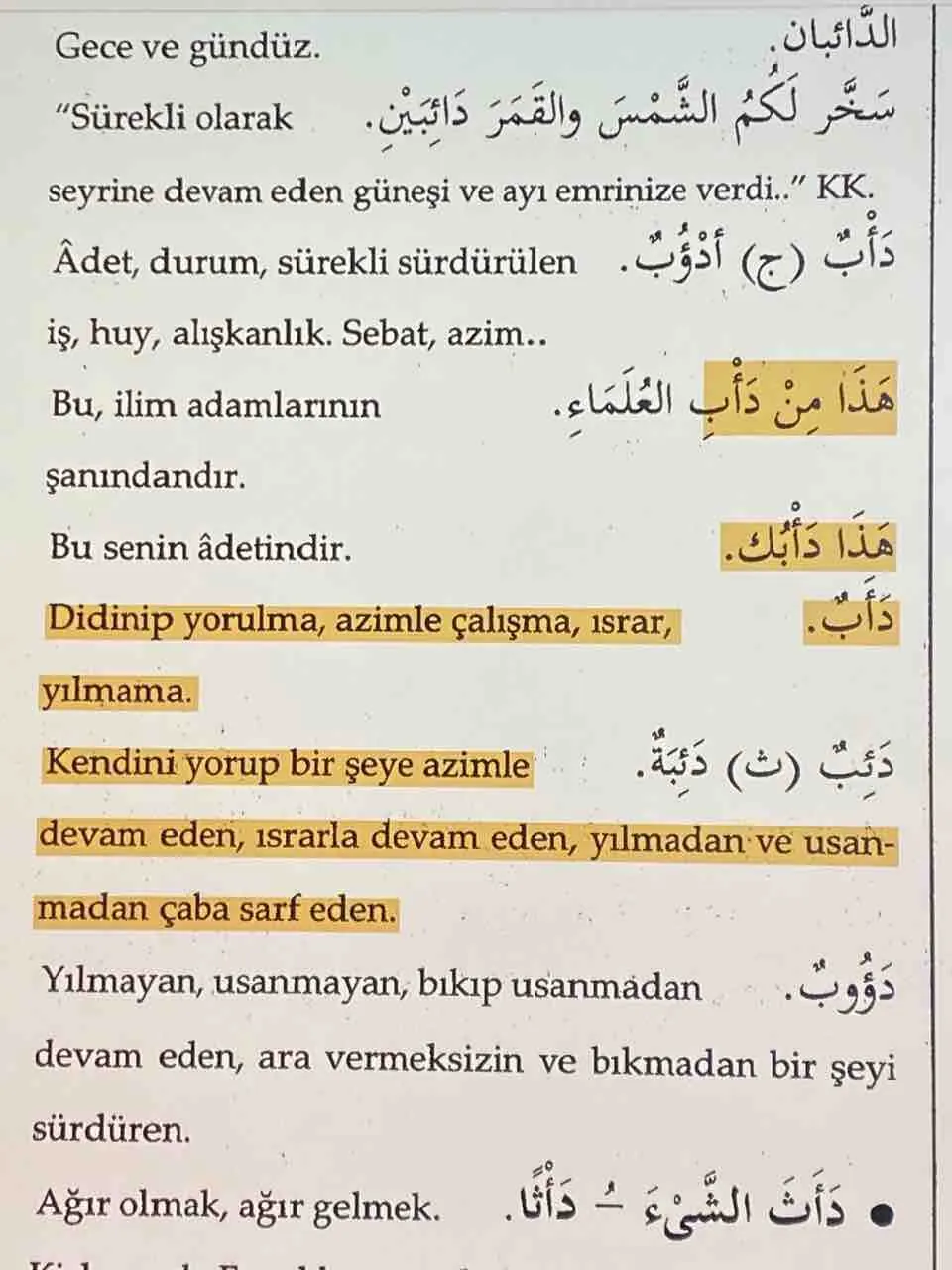 197_Dabbetul_Arz_Efsanesi_Neml_82