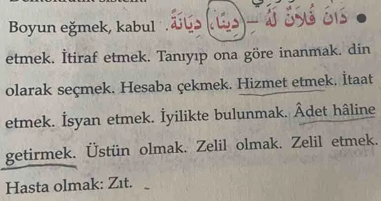 313_Tin_Suresini_Okuma_Rehberi_2